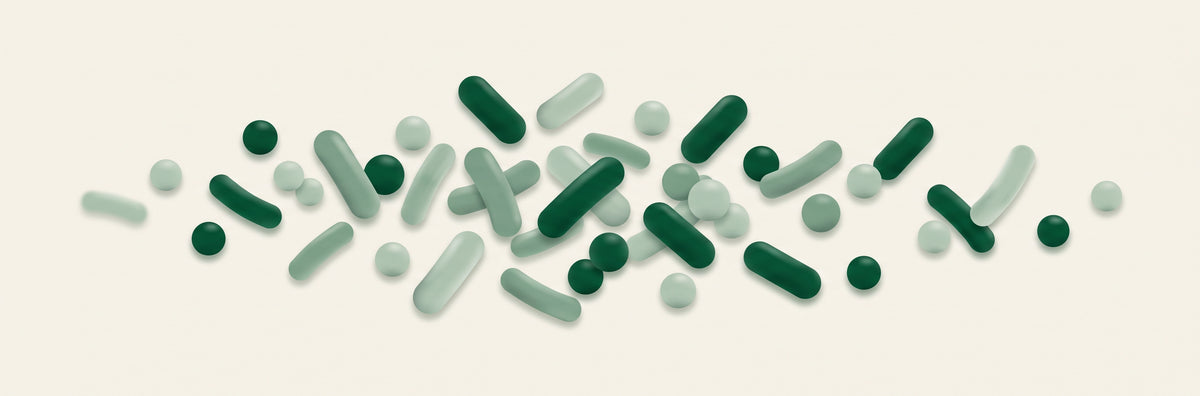 Illustration of probiotic bacteria — deep-green and sage rod-shaped and spherical microbes drifting across a cream background.